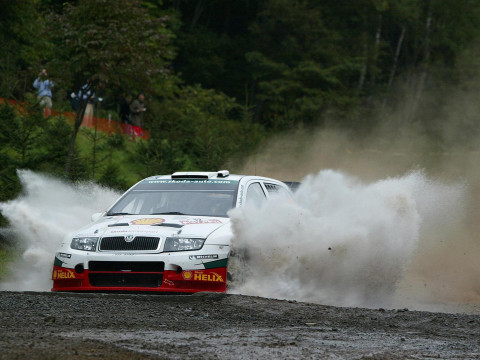 Skoda Fabia WRC фото
