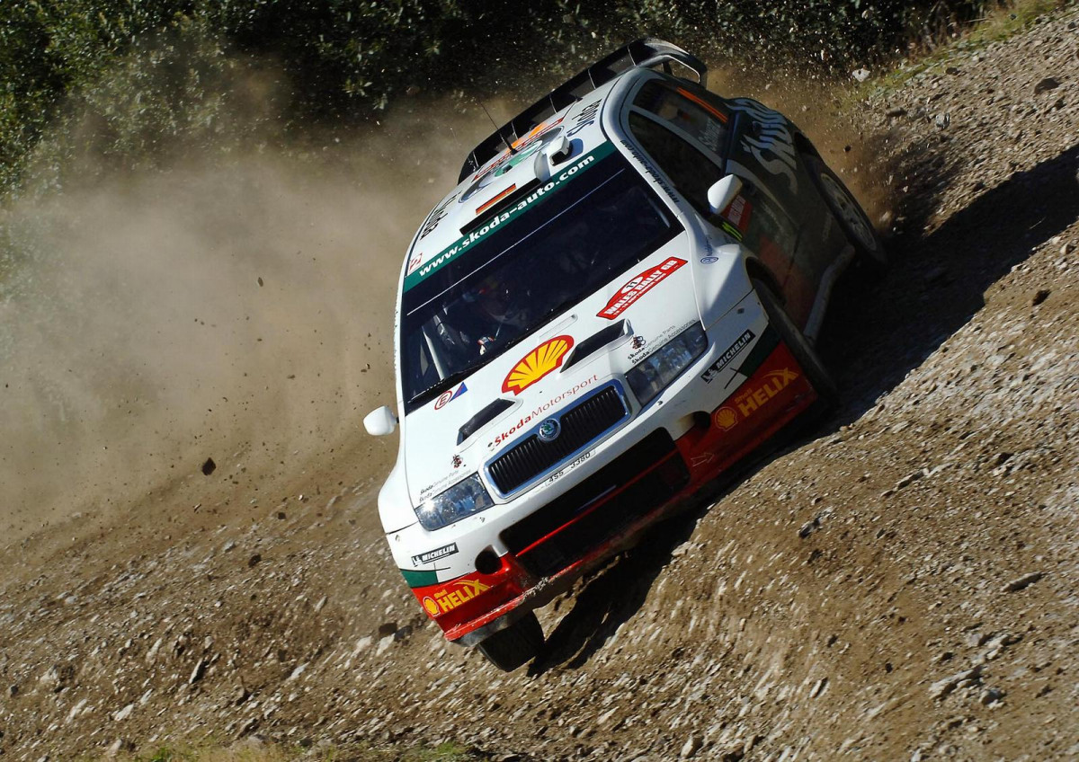 Skoda Fabia WRC фото 28927