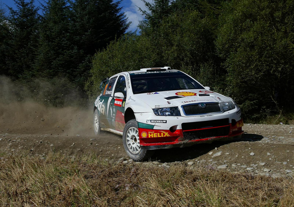 Skoda Fabia WRC фото 28929