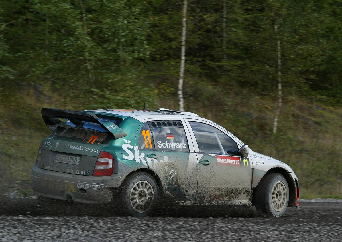 Skoda Fabia WRC фото 28931