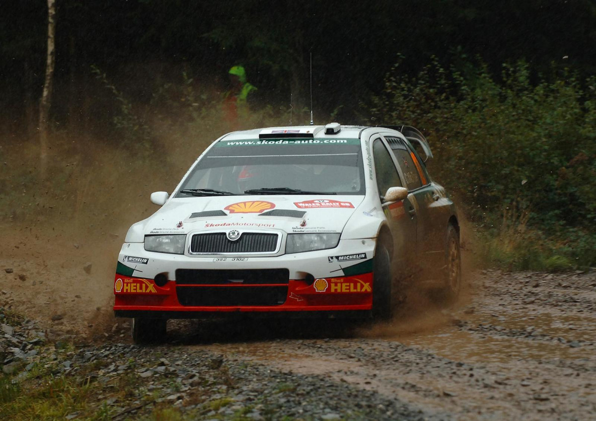 Skoda Fabia WRC фото 28932