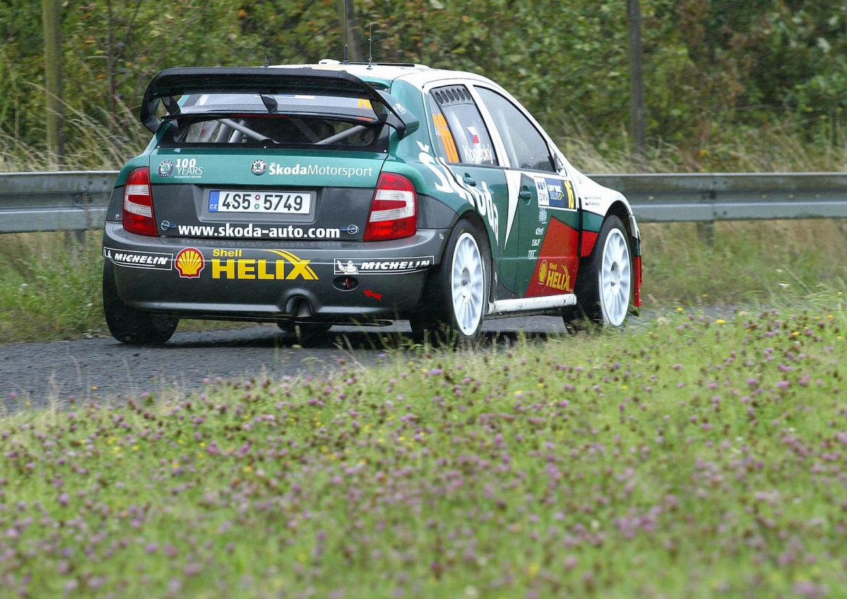 Skoda Fabia WRC фото 28938