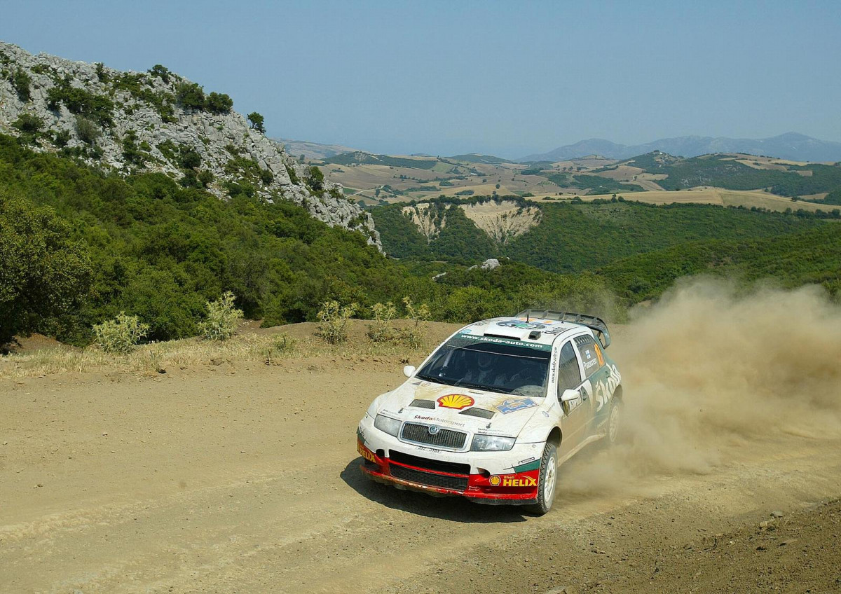 Skoda Fabia WRC фото 28945