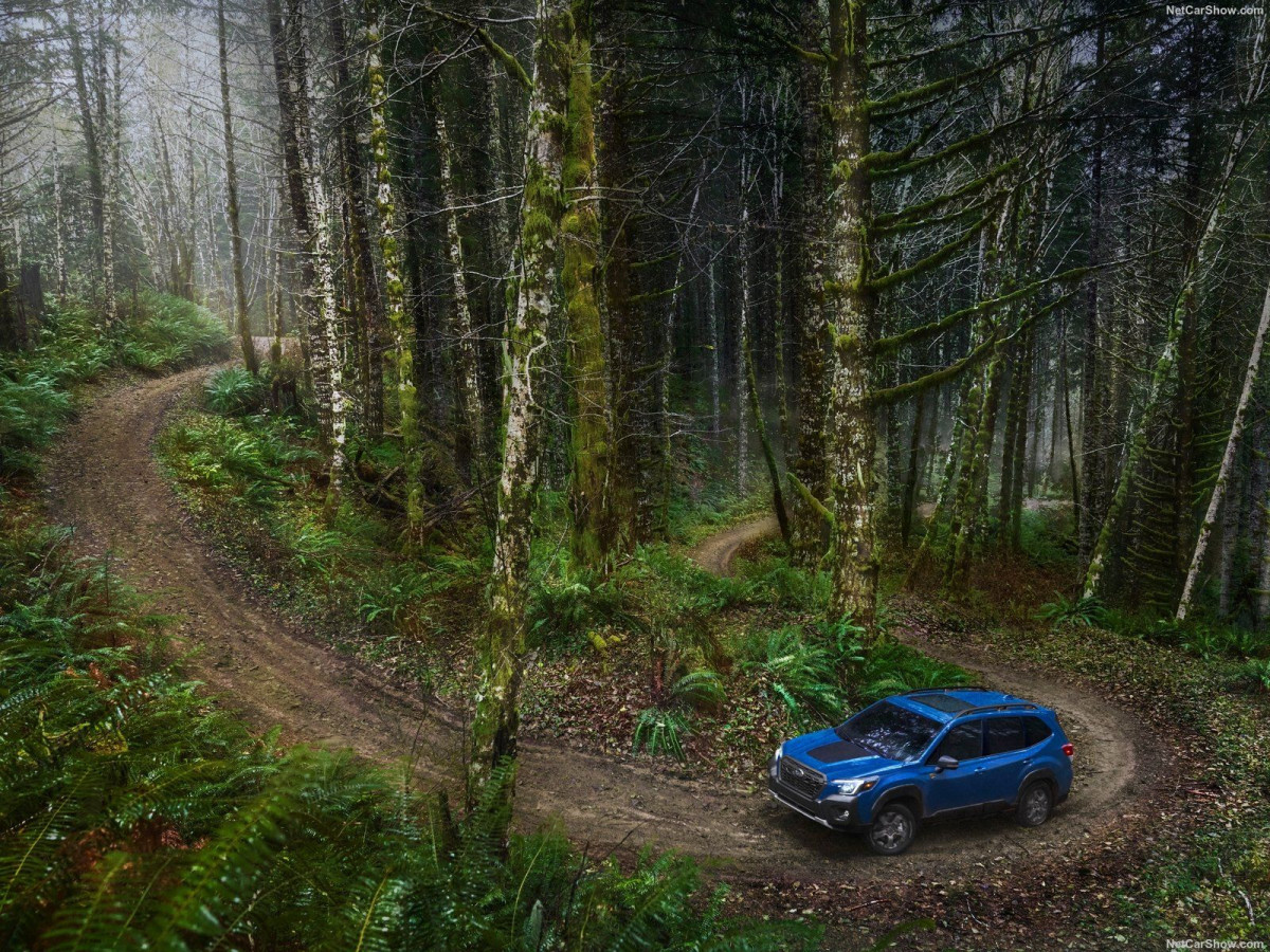 Subaru Forester фото 207174