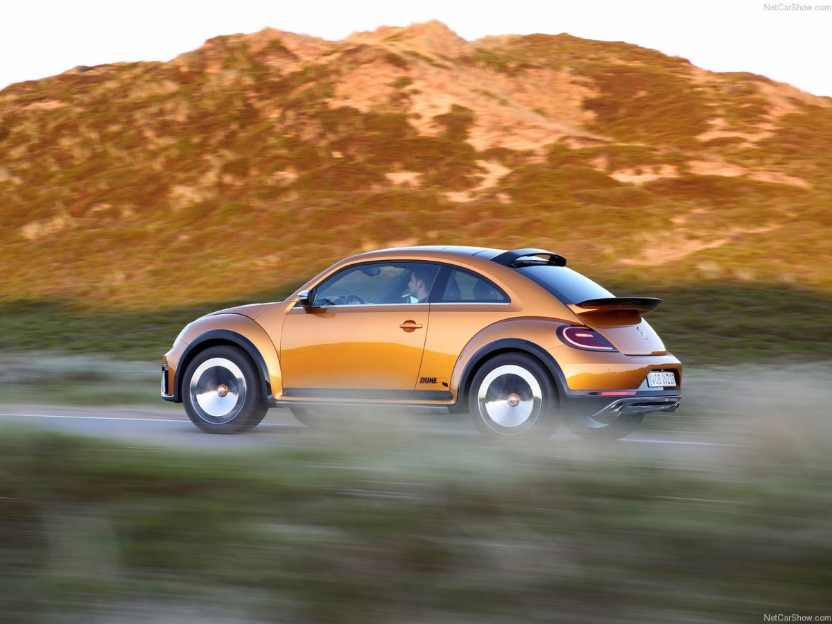 Volkswagen Beetle Dune фото 131151
