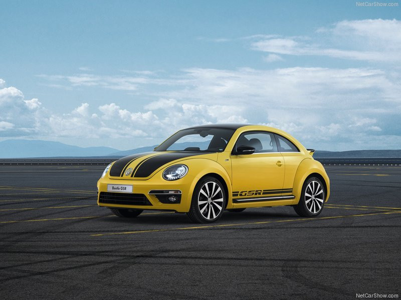 Volkswagen Beetle R фото 102474