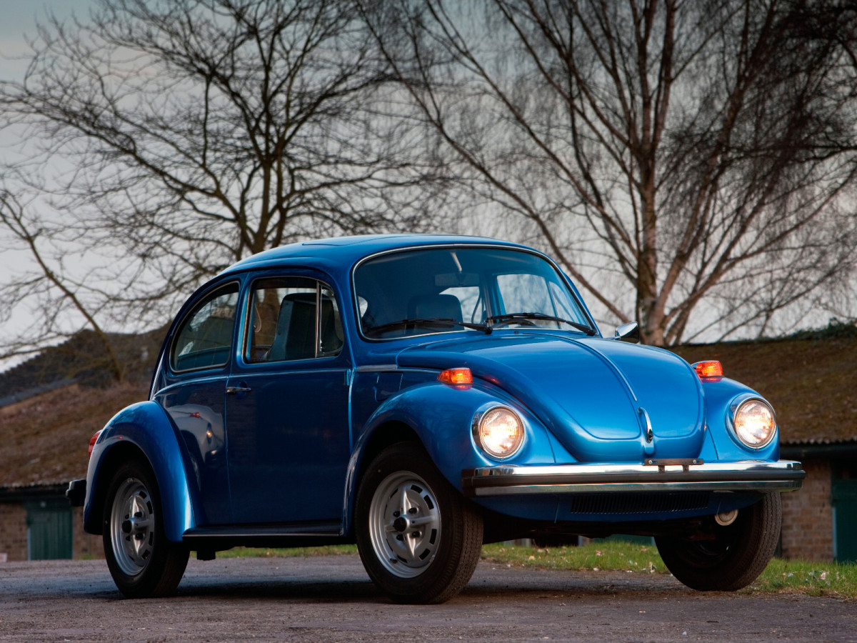 Volkswagen Beetle фото 101853