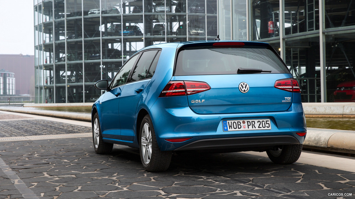 Volkswagen Golf BlueMotion фото 140688