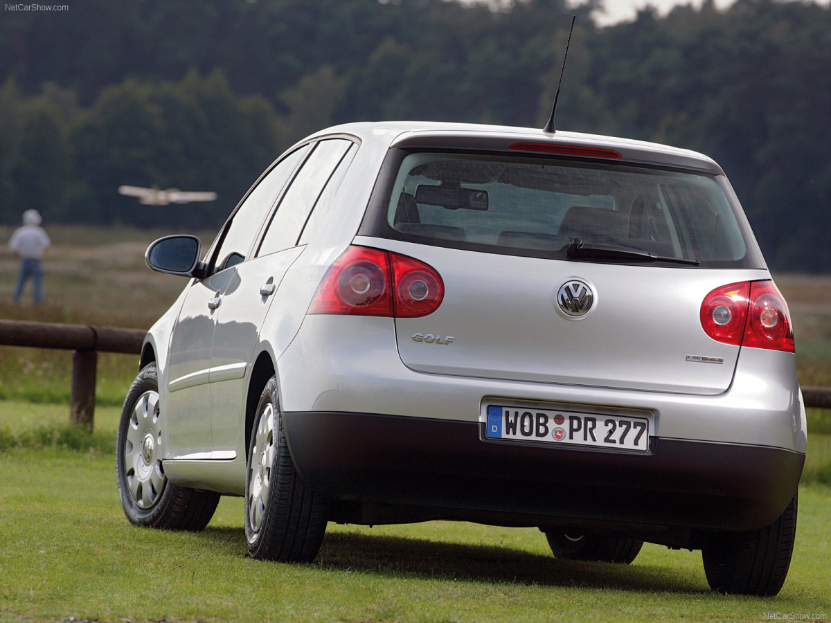 Volkswagen Golf BlueMotion фото 47065