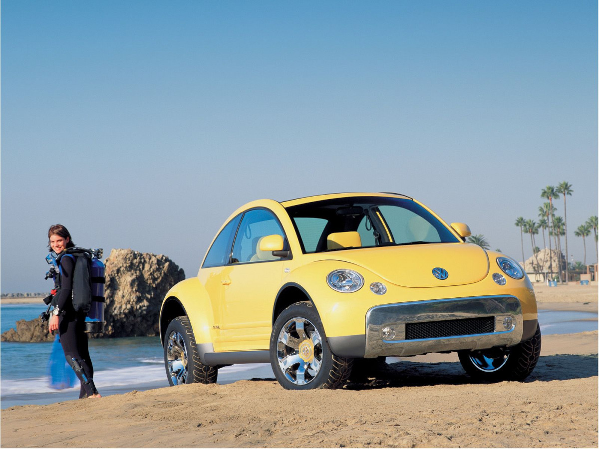 Volkswagen New Beetle Dune фото 9718