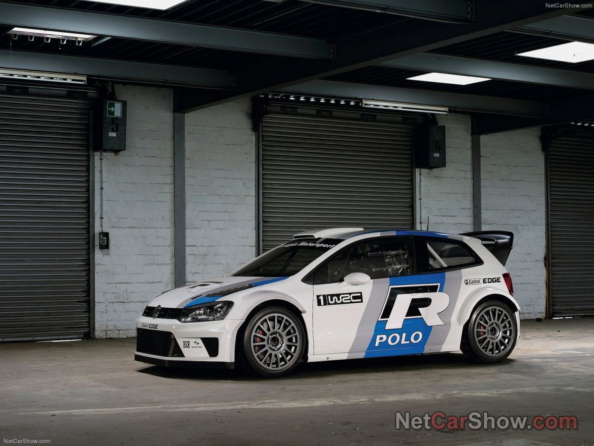 Volkswagen Volkswagen Polo R WRC фото 95410