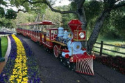 Neverland Train