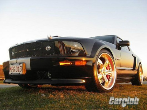 Tasca Mustang Shelby GT/SC