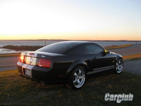 Tasca Mustang Shelby GT/SC