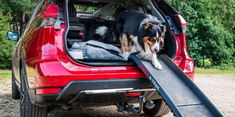 Nissan X-Trail теперь может с комфортом перевозить собак