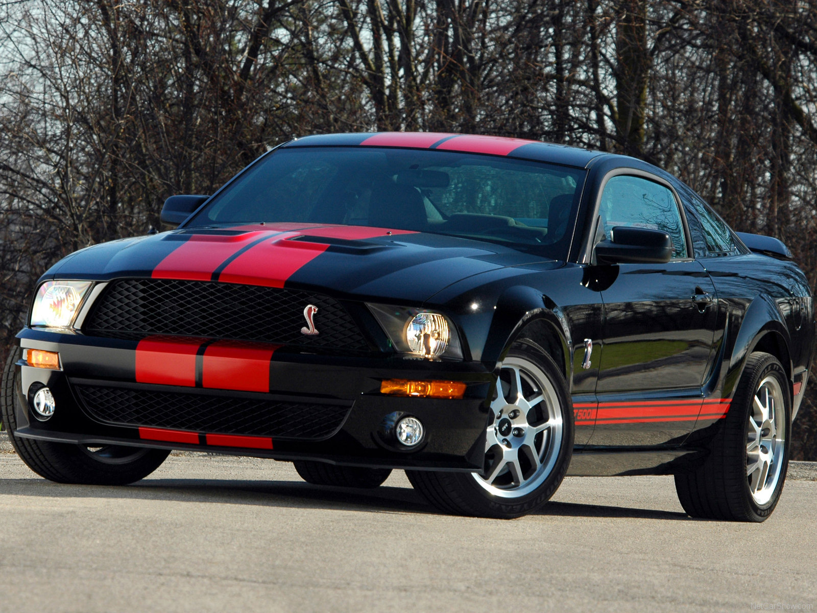 Фото Ford Mustang Shelby GT500 Red Stripe. 