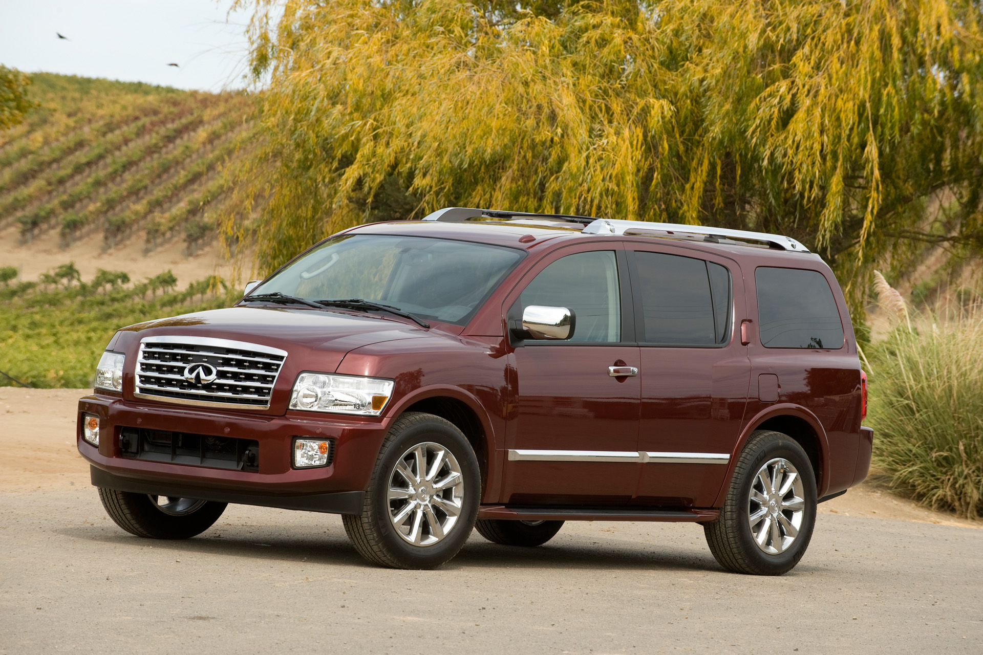 РРЅС„РёРЅРёС‚Рё 56 qx56