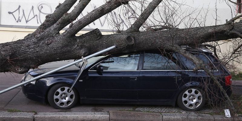 Ураган повредил 131 машину в Москве