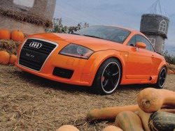 Audi TT / PPI